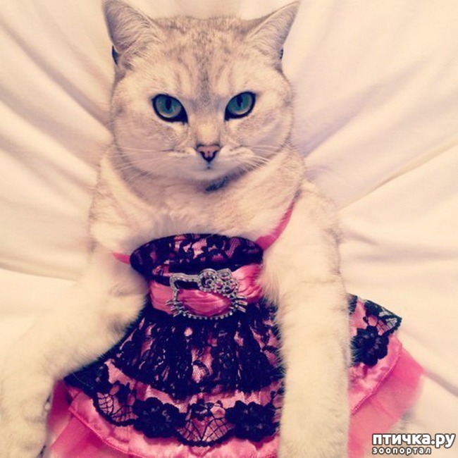 ���� 6: ����� � �������� �������))) � ���������� �����)))