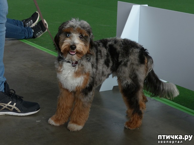 ���� 21: �������� � �������� ����� 6