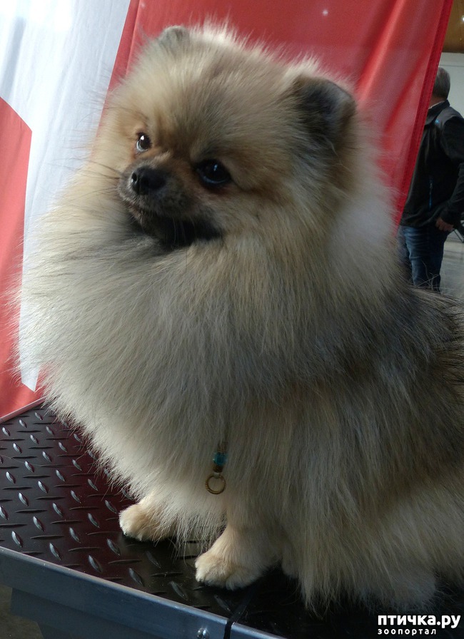 ���� 22: �������� � �������� ����� 6