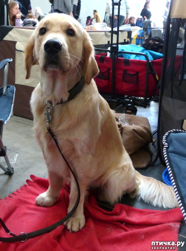 ���� 23: �������� � �������� ����� 6