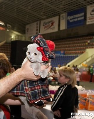 ���� 7: ����� � �������� �������))) � ���������� �����)))