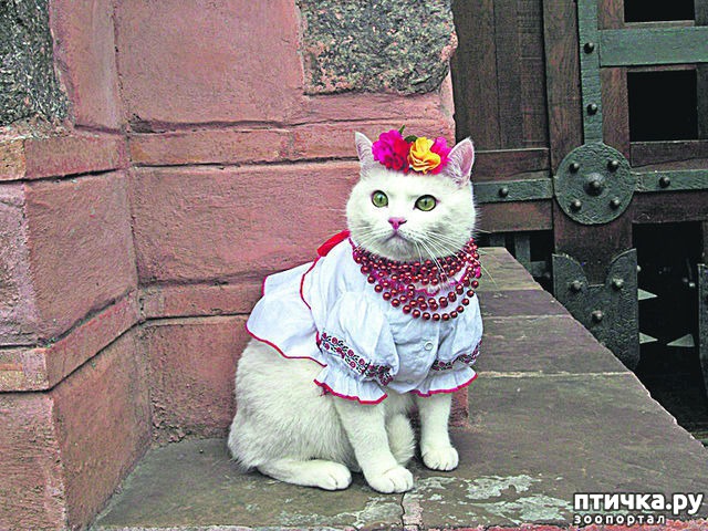 ���� 10: ����� � �������� �������))) � ���������� �����)))