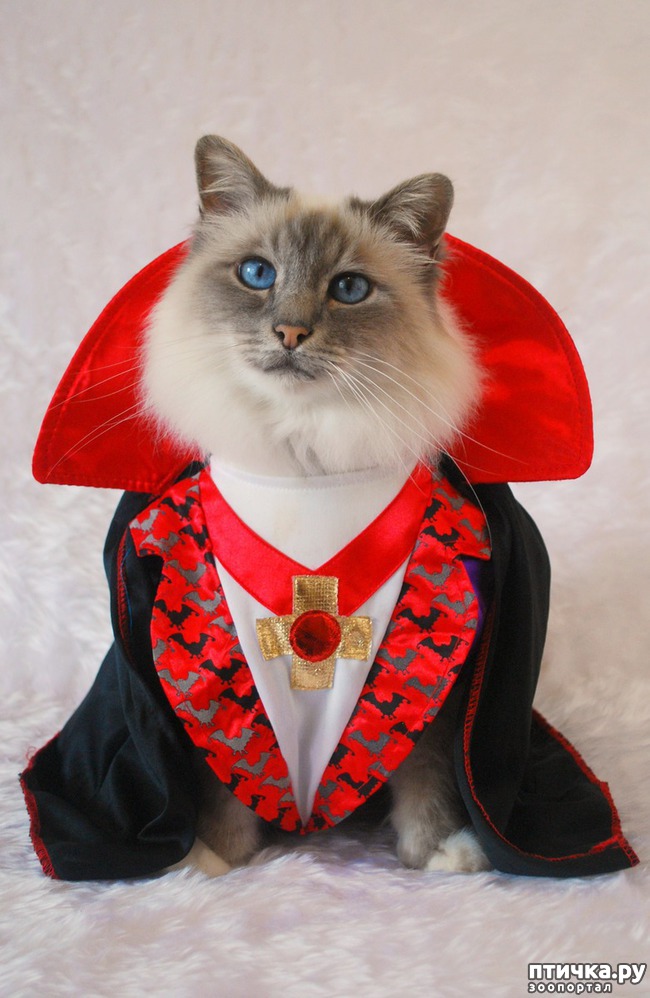 ���� 11: ����� � �������� �������))) � ���������� �����)))