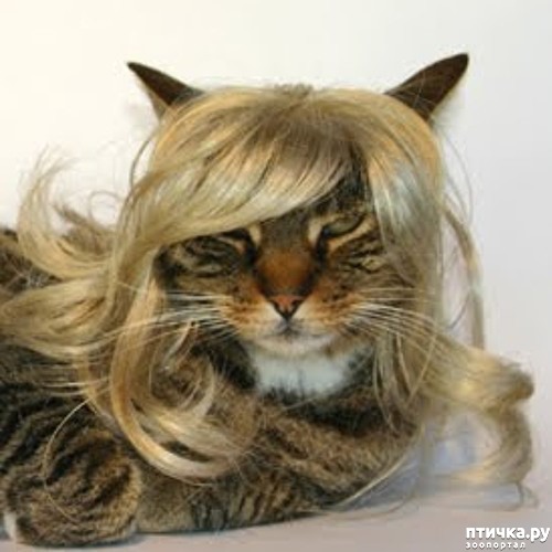 ���� 13: ����� � �������� �������))) � ���������� �����)))