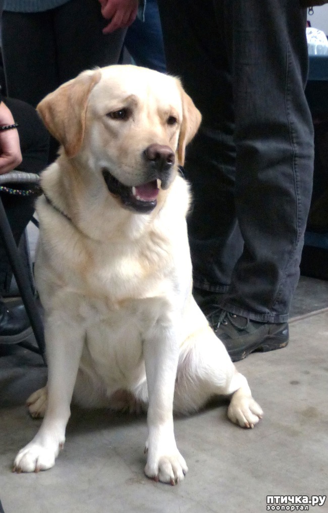 ���� 24: �������� � �������� ����� 6