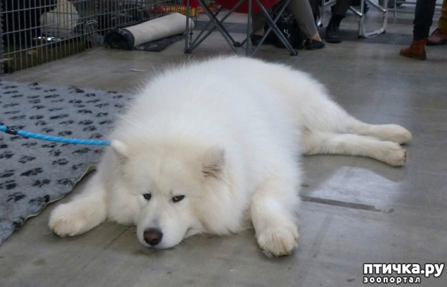 ���� 25: �������� � �������� ����� 6