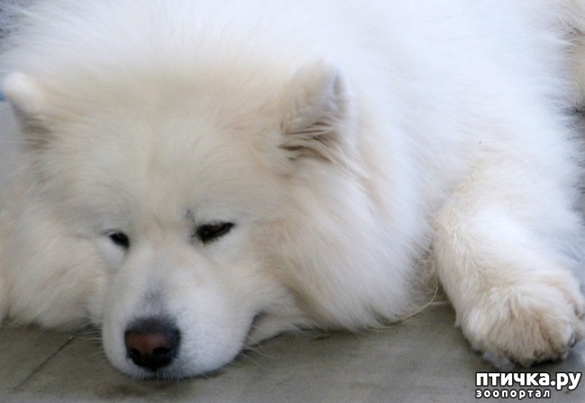 ���� 26: �������� � �������� ����� 6