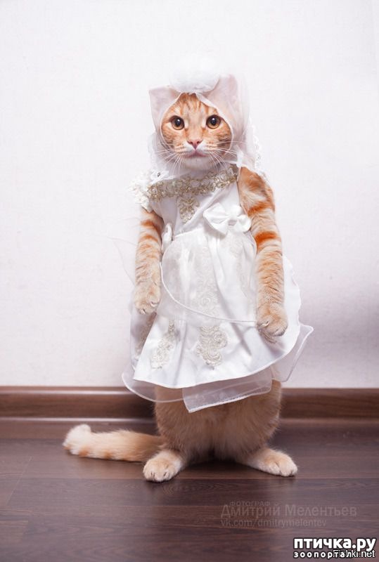 ���� 14: ����� � �������� �������))) � ���������� �����)))