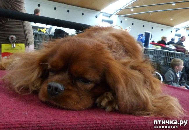 ���� 28: �������� � �������� ����� 6