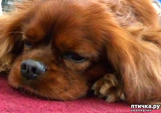 ���� 29: �������� � �������� ����� 6