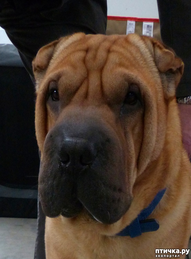 ���� 30: �������� � �������� ����� 6