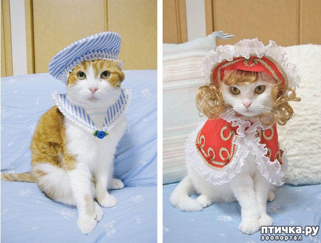 ���� 15: ����� � �������� �������))) � ���������� �����)))