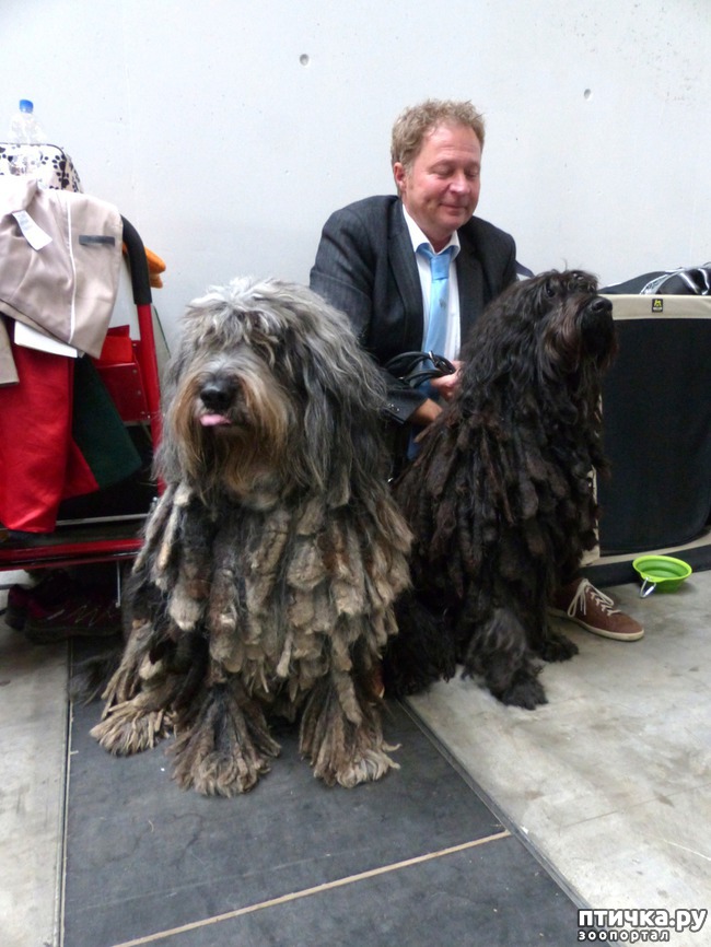 ���� 31: �������� � �������� ����� 6