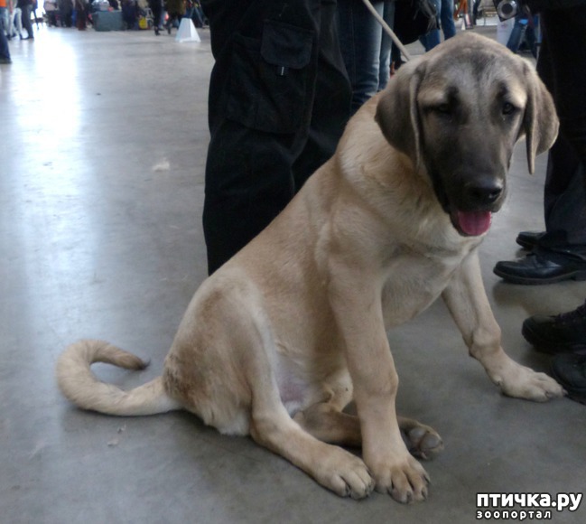 ���� 33: �������� � �������� ����� 6