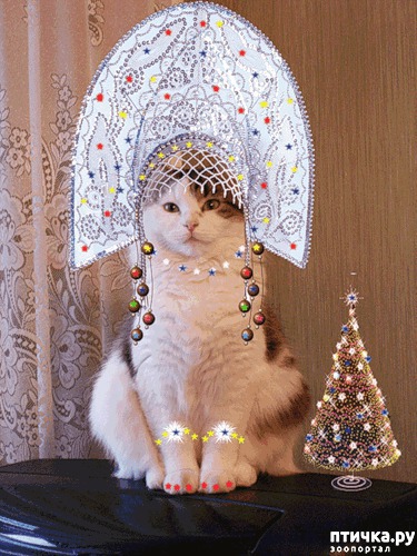 ���� 16: ����� � �������� �������))) � ���������� �����)))