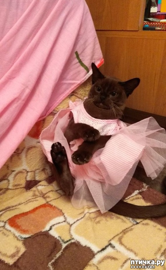 ���� 17: ����� � �������� �������))) � ���������� �����)))