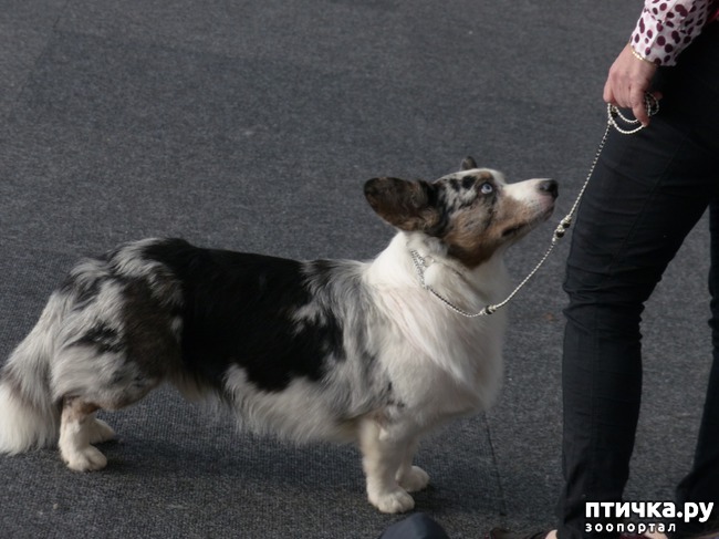 ���� 34: �������� � �������� ����� 6