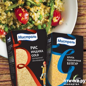 ����: ������� �������� "������� ���� ������� � ��������"