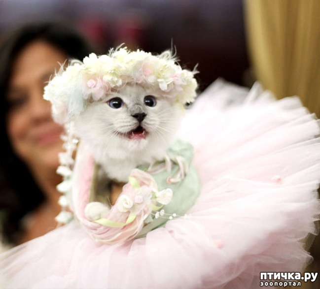 ���� 18: ����� � �������� �������))) � ���������� �����)))