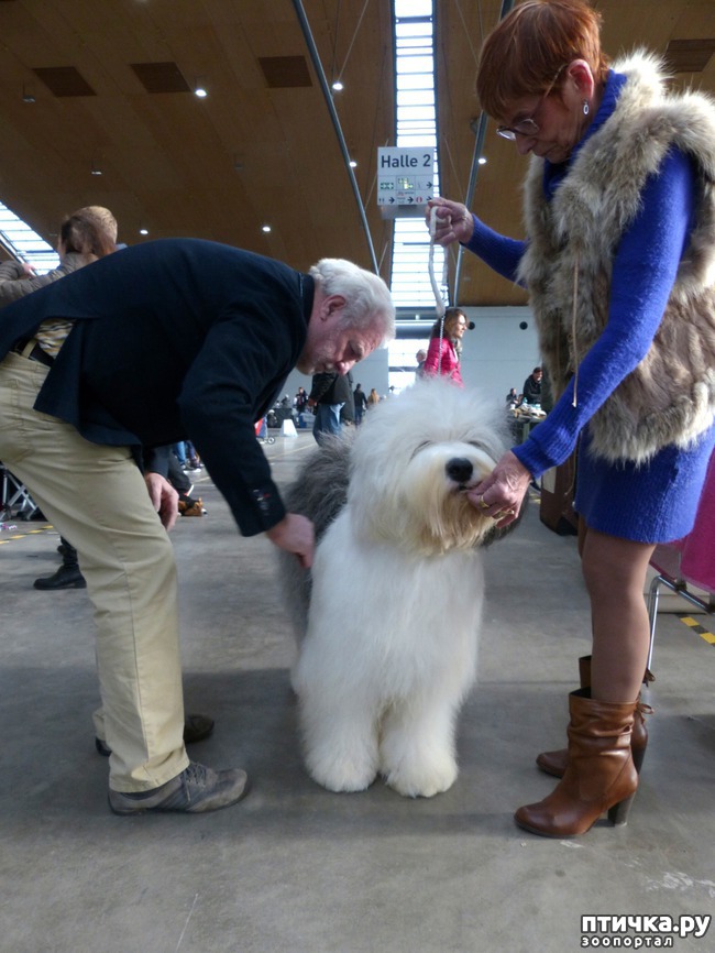 ���� 36: �������� � �������� ����� 6