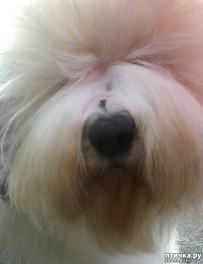 ���� 37: �������� � �������� ����� 6