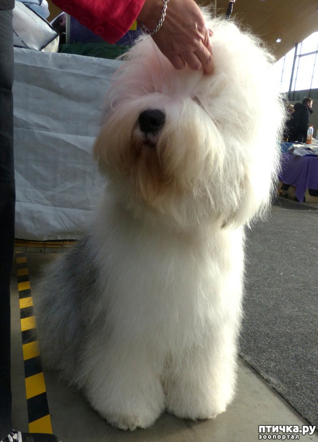 ���� 38: �������� � �������� ����� 6