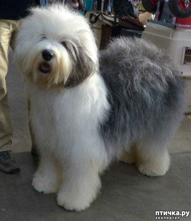 ���� 39: �������� � �������� ����� 6