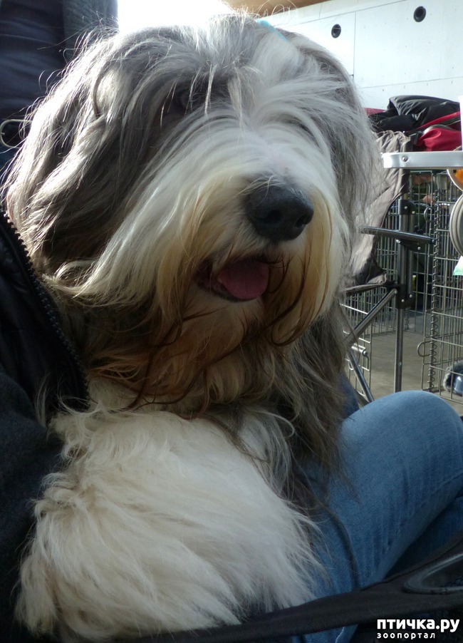 ���� 40: �������� � �������� ����� 6