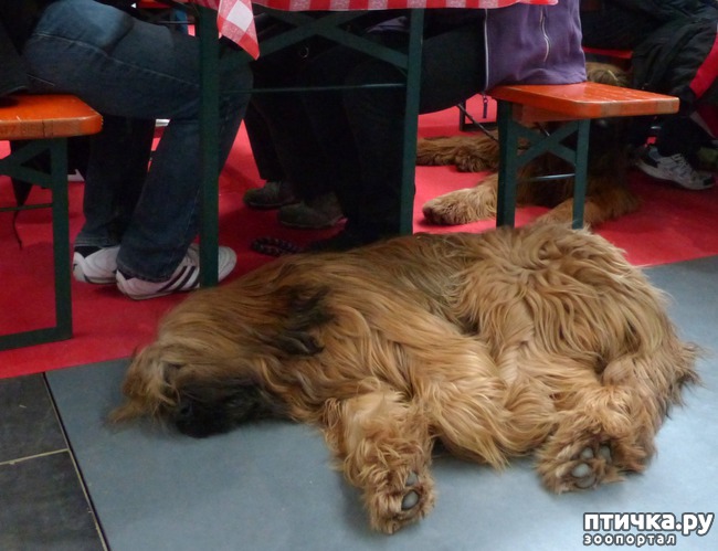 ���� 41: �������� � �������� ����� 6