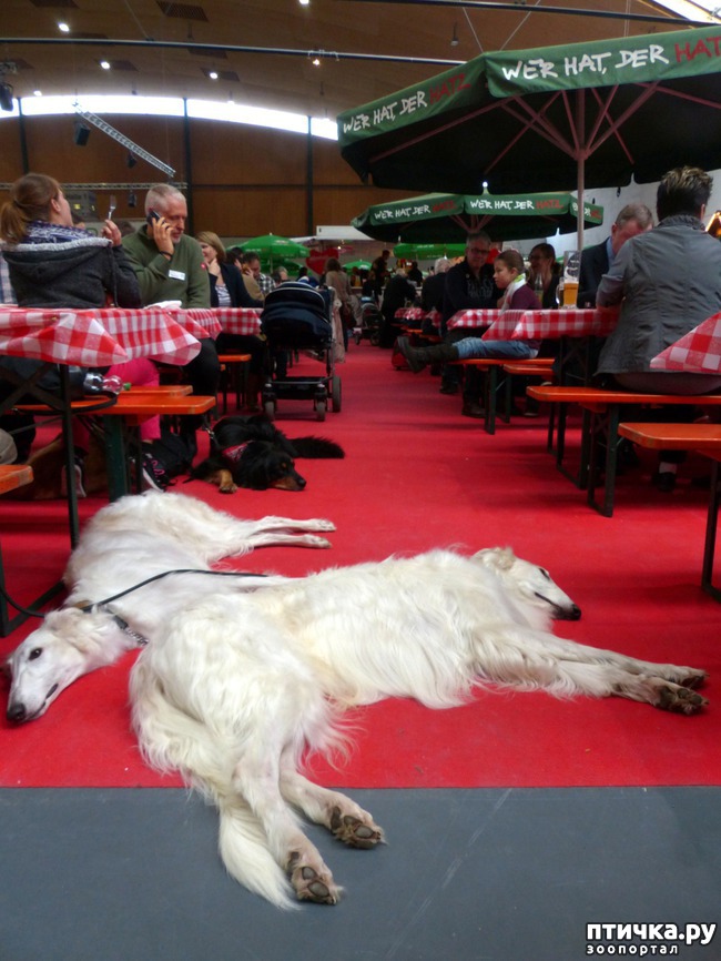 ���� 42: �������� � �������� ����� 6