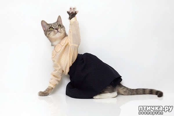 ���� 20: ����� � �������� �������))) � ���������� �����)))