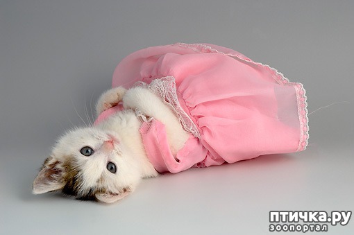 ���� 21: ����� � �������� �������))) � ���������� �����)))