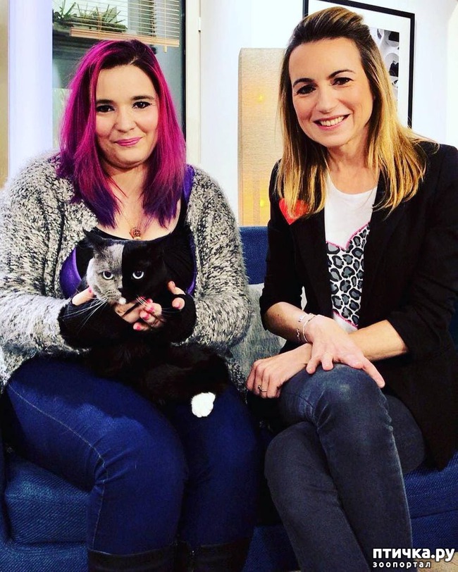 ���� 9: ����� ������ � ��������� ������� - ����� ����� �������))