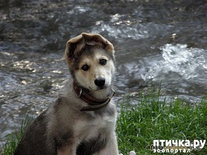 ����: ������ ���