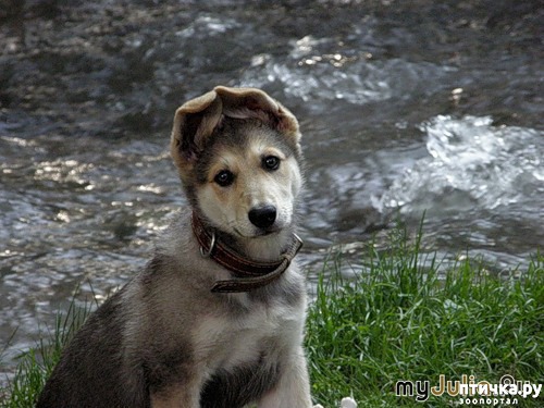 ���� 1: ������ ���