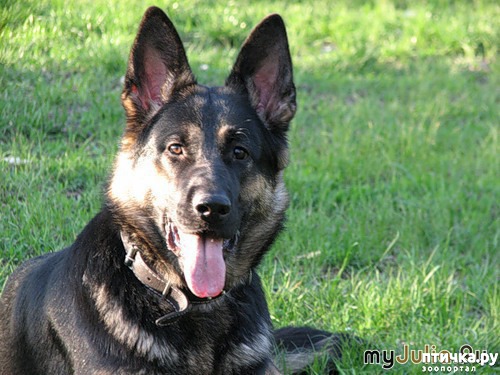 ���� 2: ������ ���