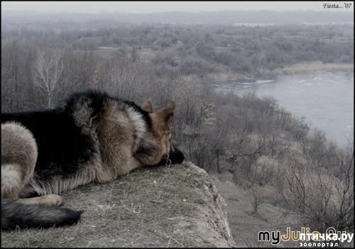 ���� 3: ������ ���