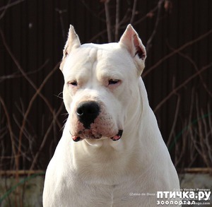 ����: ����� ��������� �������� ������������ �����