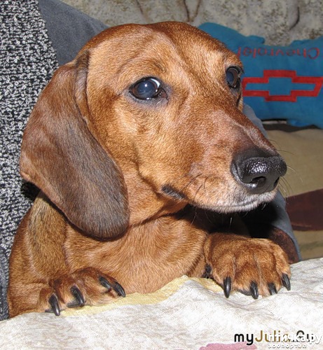 ���� 6: ������ ���