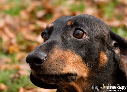 ���� 7: ������ ���