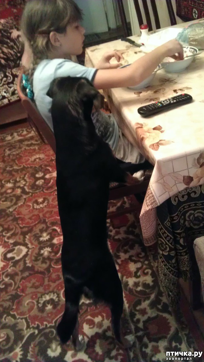 ���� 5: � ����� �����!