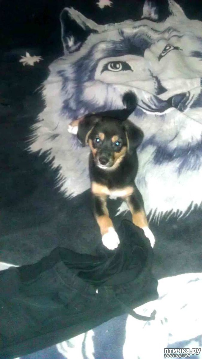 ���� 6: � ����� �����!