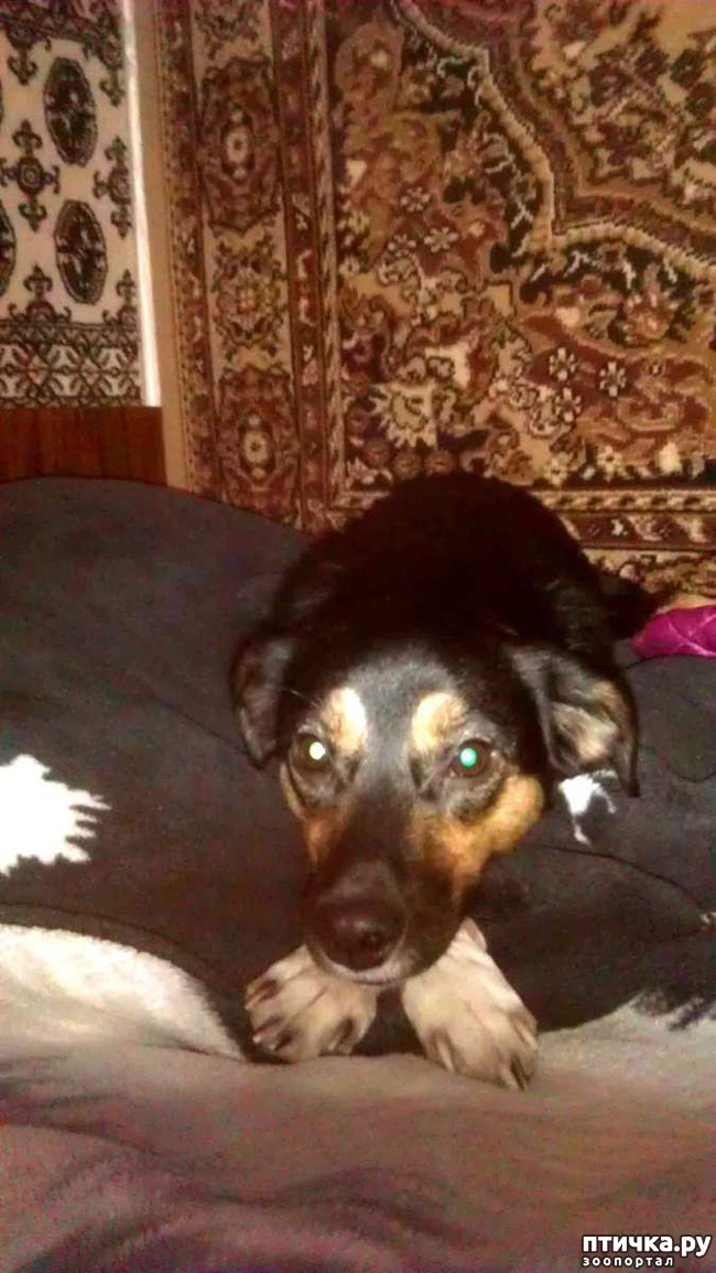 ���� 7: � ����� �����!