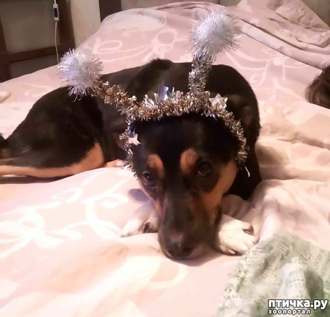 ���� 8: � ����� �����!