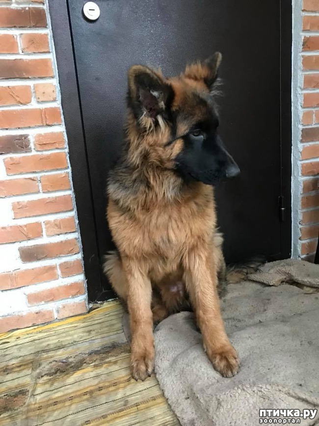 ���� 2: ���������� � ���������� ���� ������� �������� � �������)