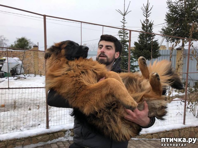 ���� 3: ���������� � ���������� ���� ������� �������� � �������)