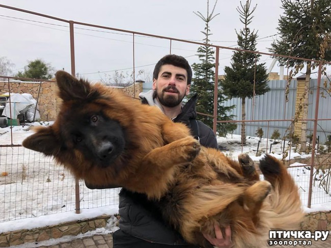 ���� 4: ���������� � ���������� ���� ������� �������� � �������)