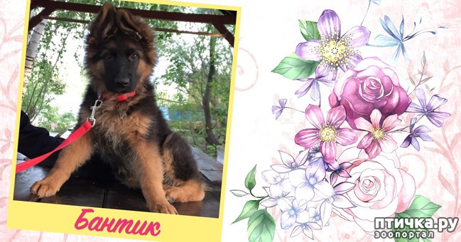 ���� 5: ���������� � ���������� ���� ������� �������� � �������)