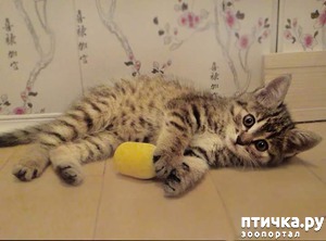 ����: "�������� ����, ��� ������� � ���� �, �� ������ ����������")))