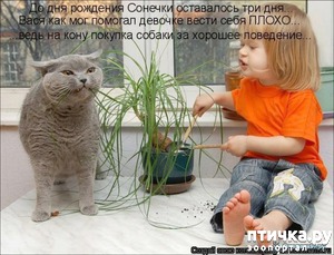 ����: ��������� �����������: ����� � �����.